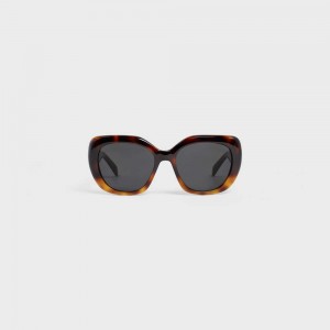 Celine Triomphe 06 in Acetate Sunglasses Gradient Havana | CL-592406