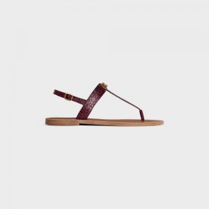 Celine Triomphe Thong in CROCODILE STAMPED CALFSKIN Sandals Dark Burgundy | CL-592589