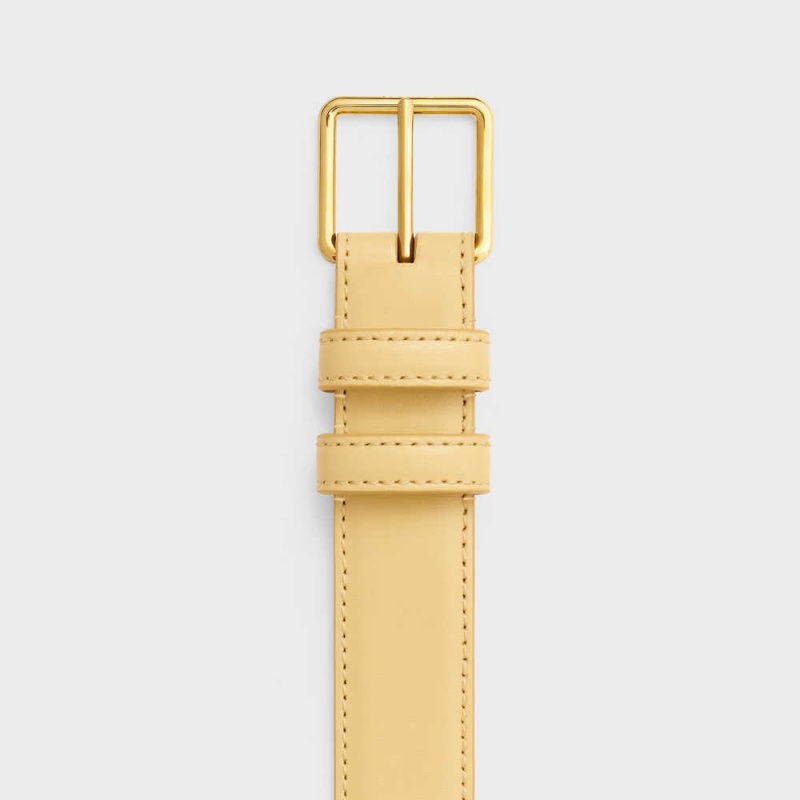 Celine BAG TRIOMPHE in SHINY CALFSKIN Belts POLLEN | CL-592475