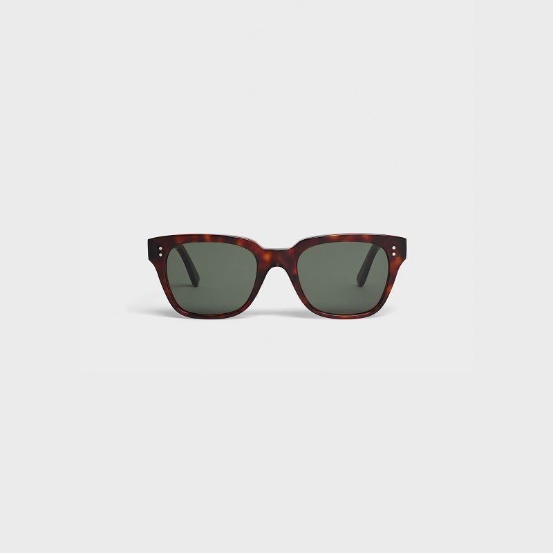 Celine Frame 04 in Acetate Sunglasses Red Havana | CL-591739