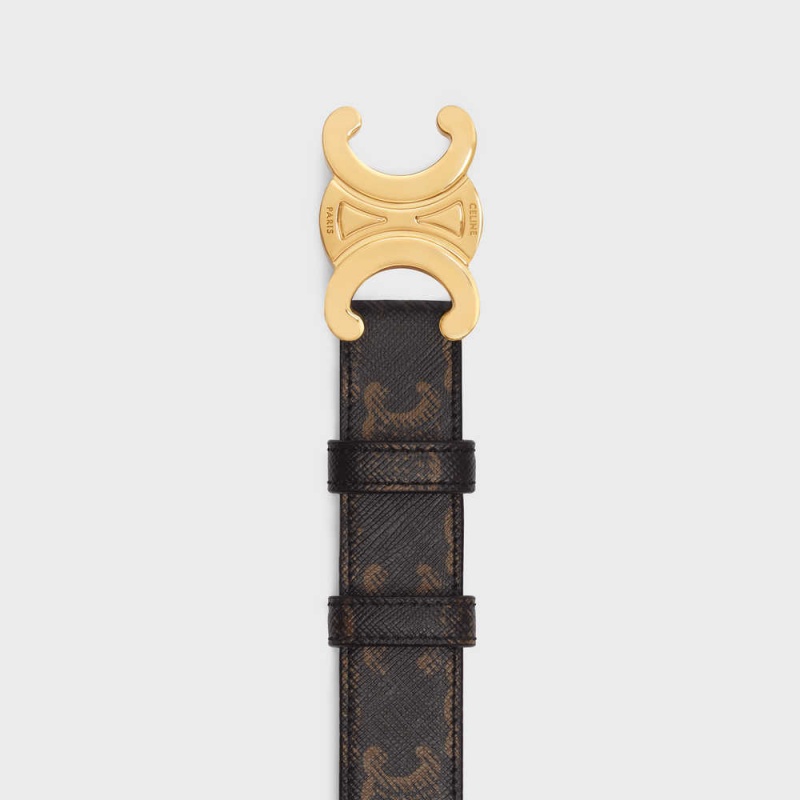 Celine Medium Triomphe in Triomphe Canvas Belts Tan | CL-592455