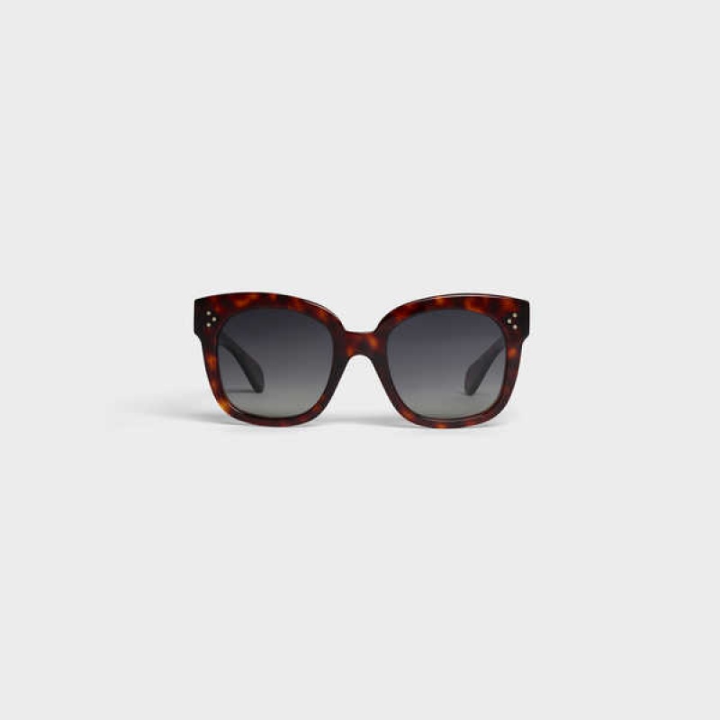 Celine Oversized S002 in Acetate with Polarized Lenses Sunglasses Red Havana | CL-592437