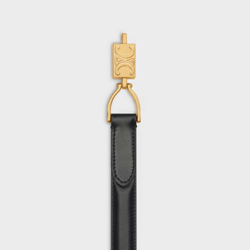 Celine Small Block Triomphe in Taurillon Leather Belts Black | CL-592486