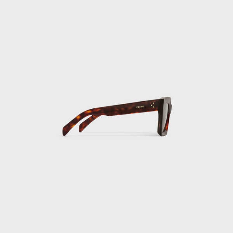 Celine Square S130 in Acetate Sunglasses Red Havana | CL-592440