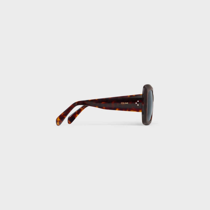 Celine Square S263 in Acetate Sunglasses Classic Havana | CL-592376