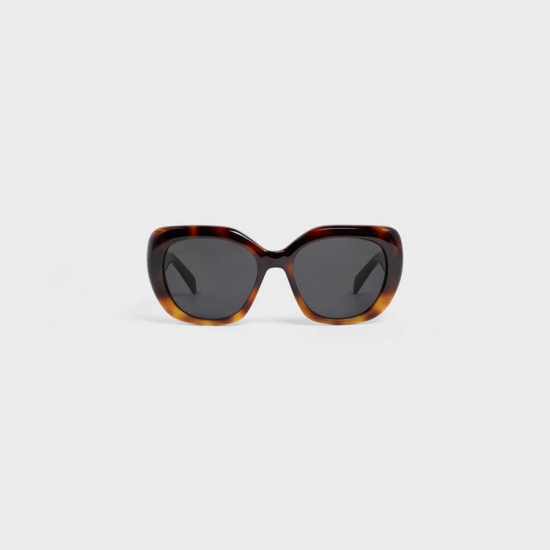 Celine Triomphe 06 in Acetate Sunglasses Gradient Havana | CL-592406