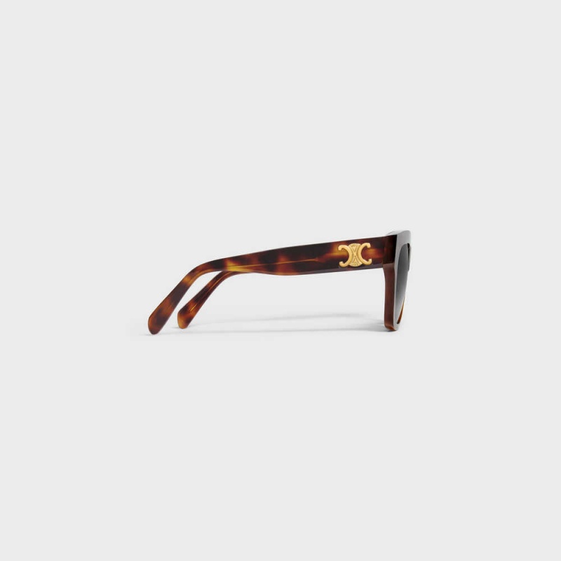 Celine Triomphe 09 in Acetate Sunglasses Classic Havana | CL-592389